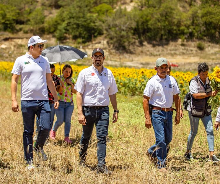 Invita David de la Peña a la temporada de Girasoles
