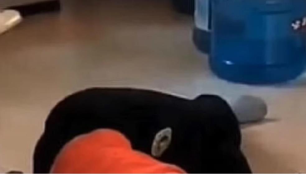 Niño de 8 años muere tras ser golpeado por su instructor