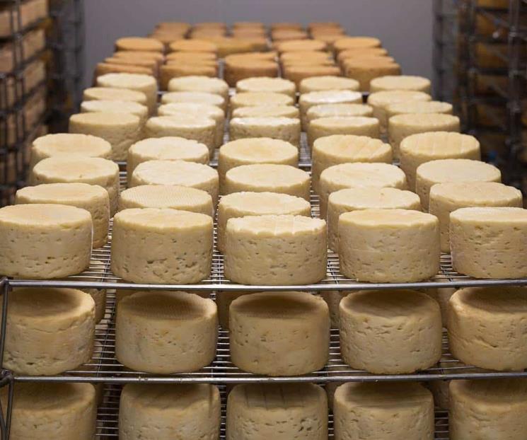 Visita el Festival del Queso Artesanal