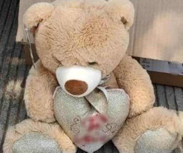 GN asegura peluche relleno con narcóticos en Culiacán