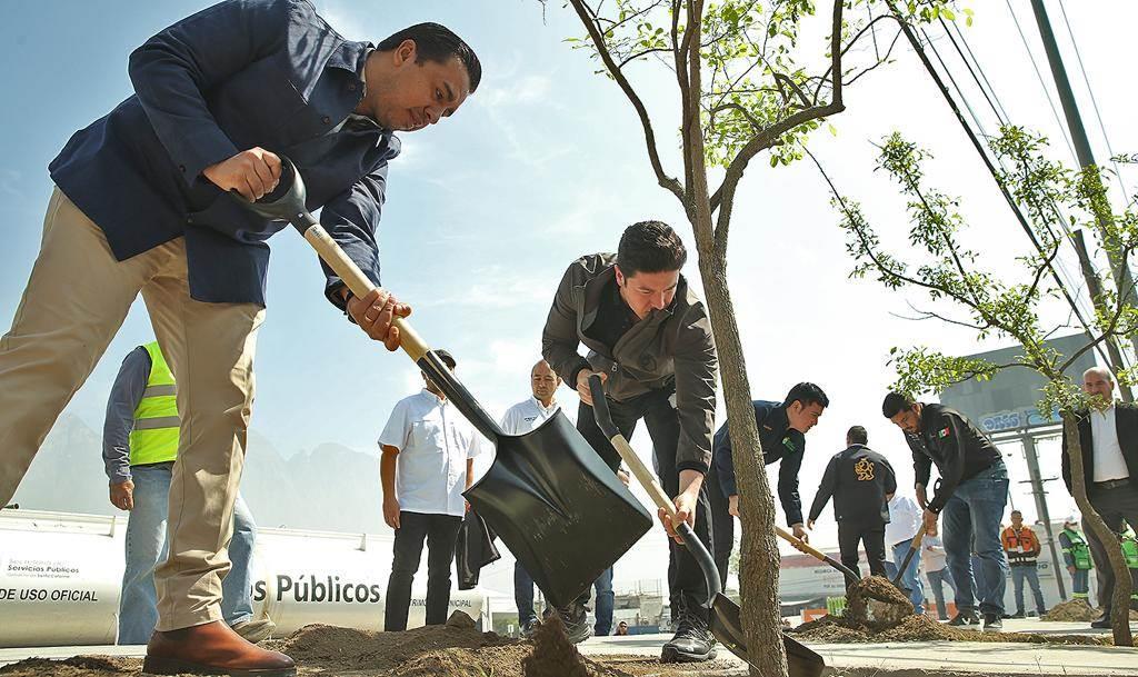 Refuerza Santa Catarina su plan de reforestación Refuerza Santa Catarina su plan de reforestación