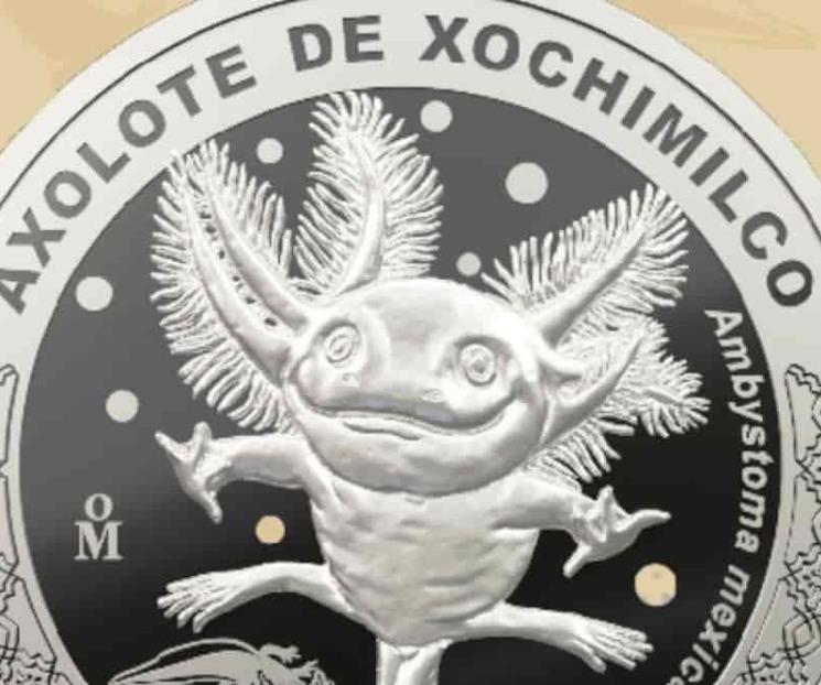 Casa de Moneda lanza medalla conmemorativa