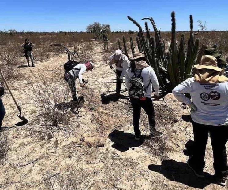 Iglesia reprocha protocolos de búsqueda de desaparecidos