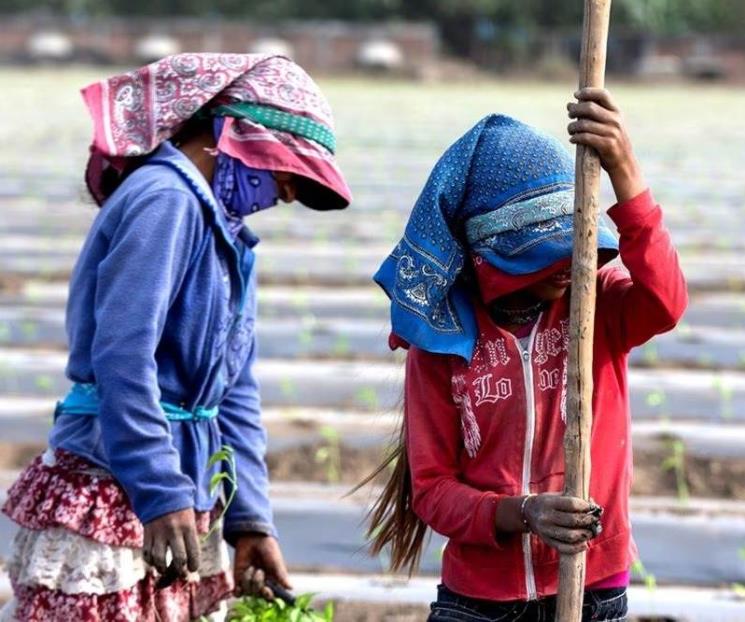 Secuestran a 18 jornaleros en Sinaloa