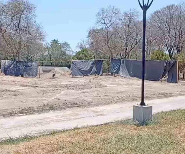 Denunciarán tala de árboles en el Parque Niños Héroes