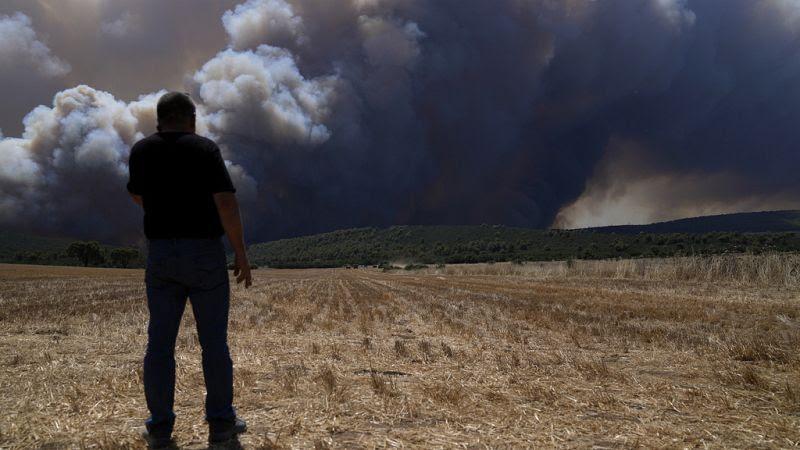 Luchan en el Mediterráneo contra incendios