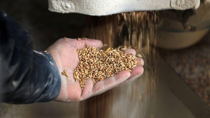 Piden restablecer acuerdo de cereales