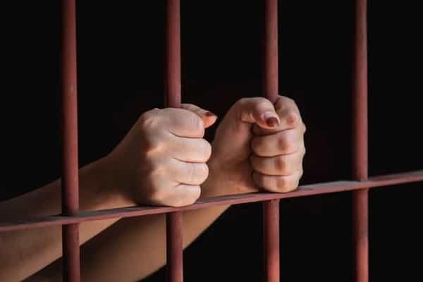México ha dado amnistía a 376 privados de su libertad México ha dado amnistía a 376 privados de su libertad