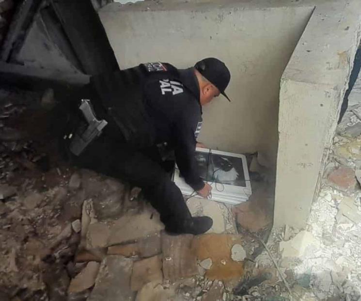 Recuperan obras robadas de Galería de Arte Moderno