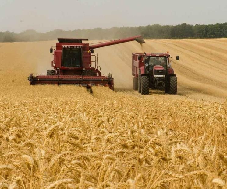 Ruptura en acuerdo de cereales provocará alza en México