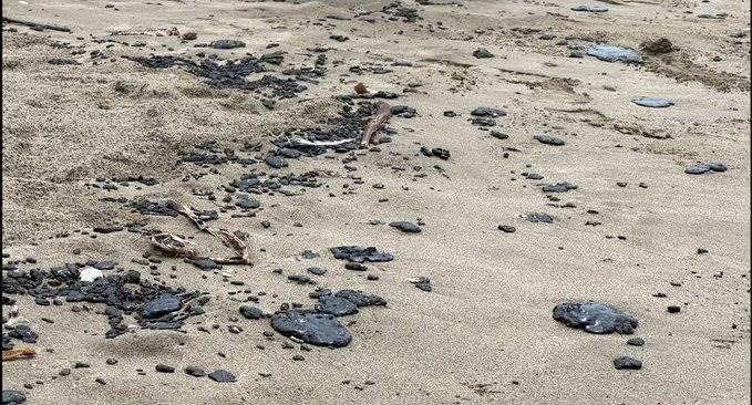 Chapopote llega hasta Tabasco tras derrame en el Golfo
