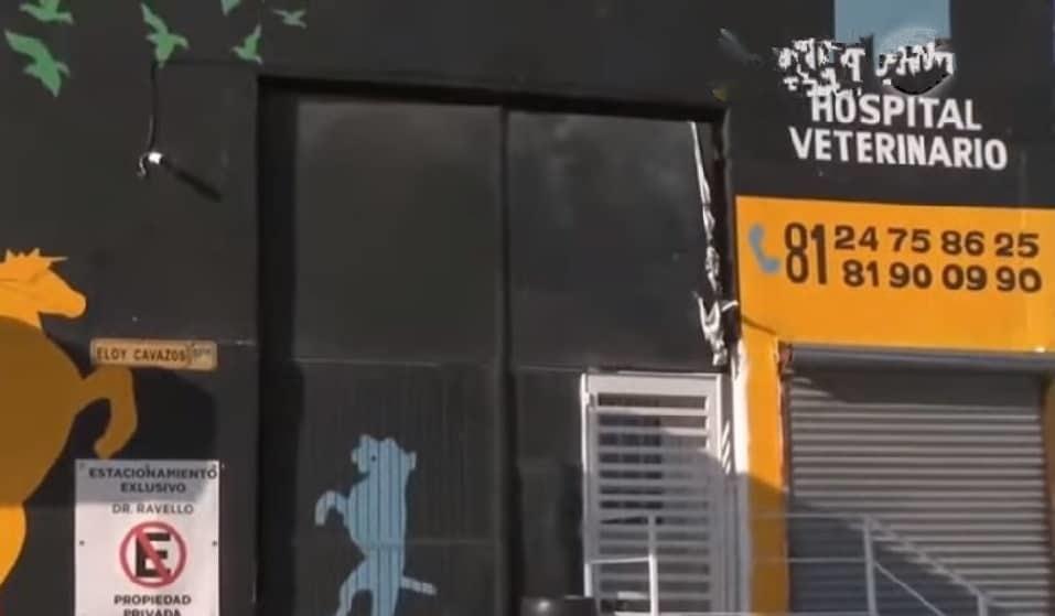 Balean negocios en Guadalupe