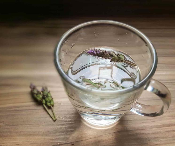 Esta es la planta aromática para eliminar insomnio