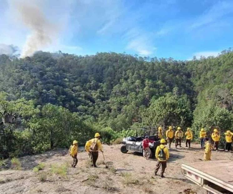 Combaten incendio en Sierra de Iturbide