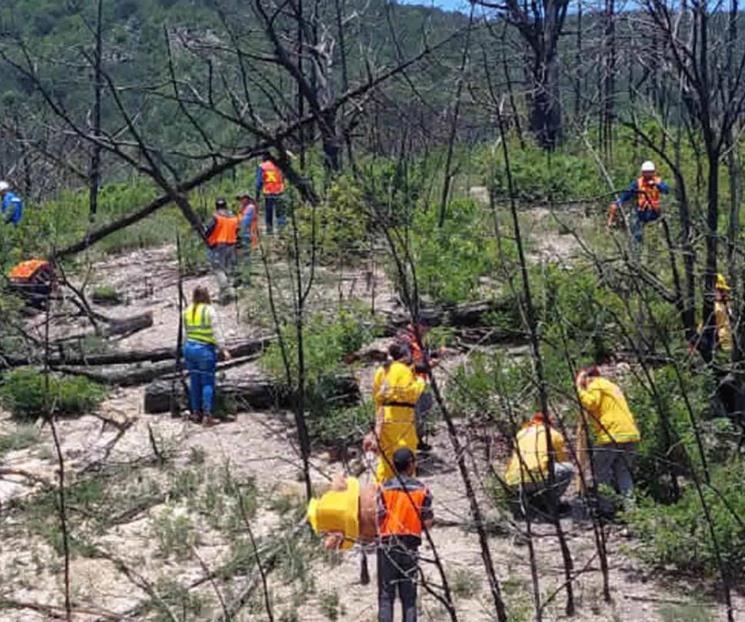 Trabajan en prevención de incendios forestales