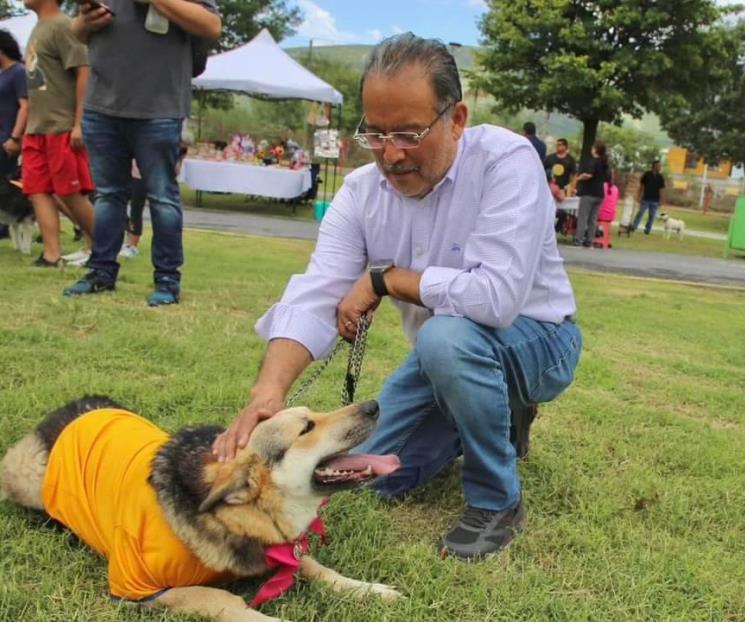 Se pagará con trabajo comunitario el maltrato animal