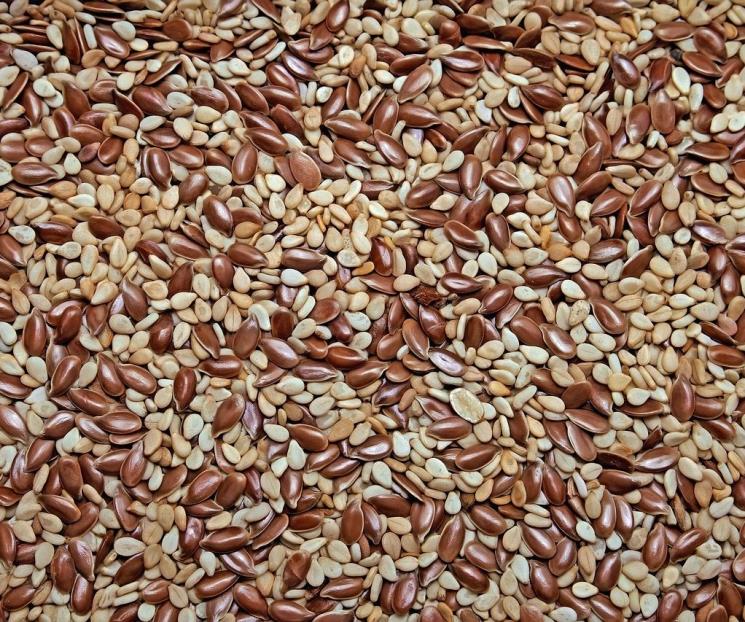 Mejor aliado del colágeno para proteger músculos del cuerpo