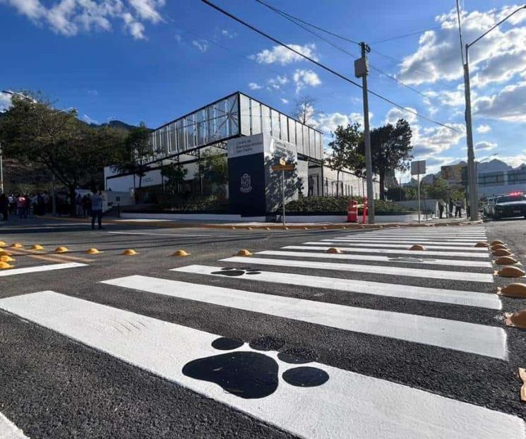 Abren el nuevo Centro de Bienestar Animal en San Pedro