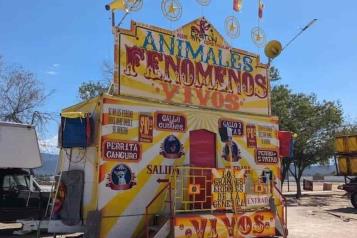 Clausuran feria y rescatan a ocho animales