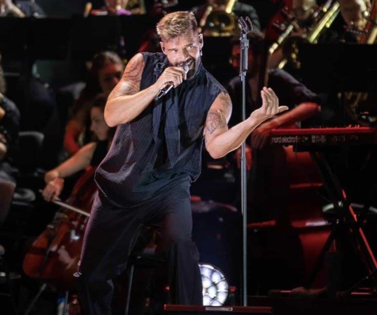 Ricky Martin pedirá la tenencia compartida de sus dos hijos