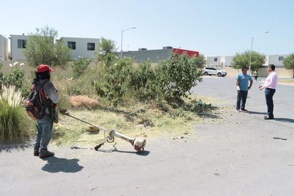 Da Juárez mantenimiento y limpieza a zonas verdes