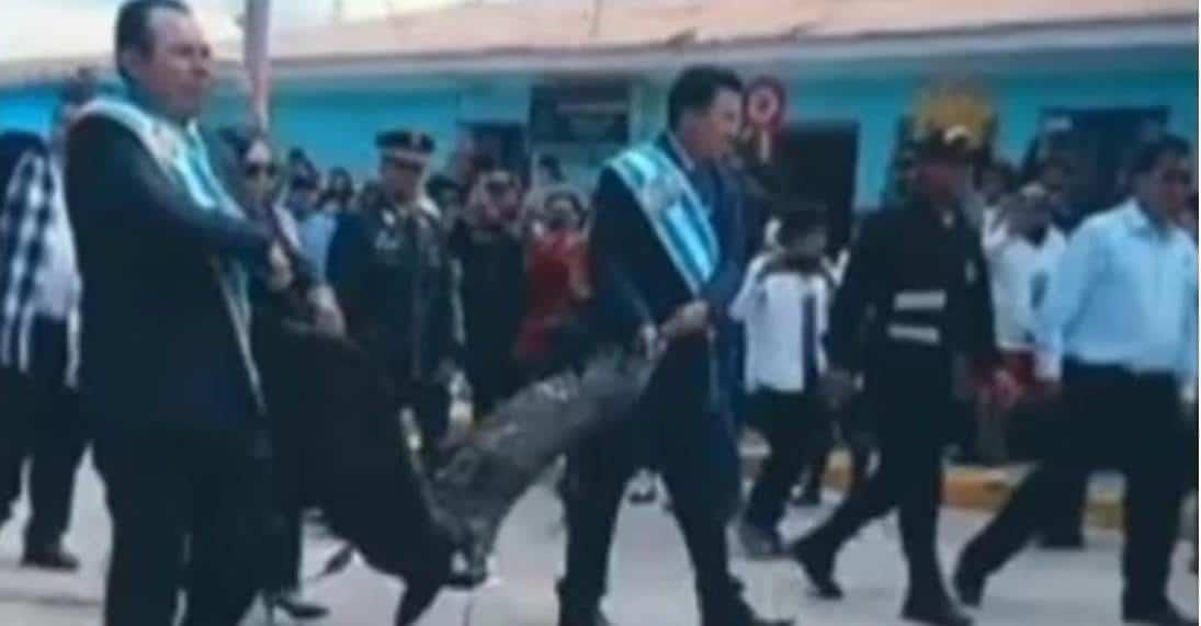 Captan a alcalde arrastrando un cóndor andino en Perú