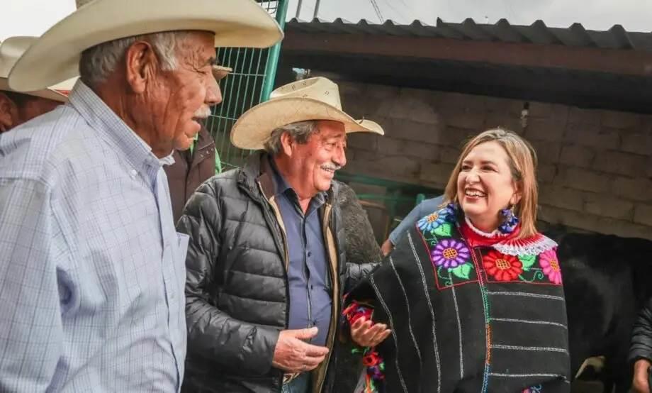 Cuestiona Gálvez abandono del campo mexicano