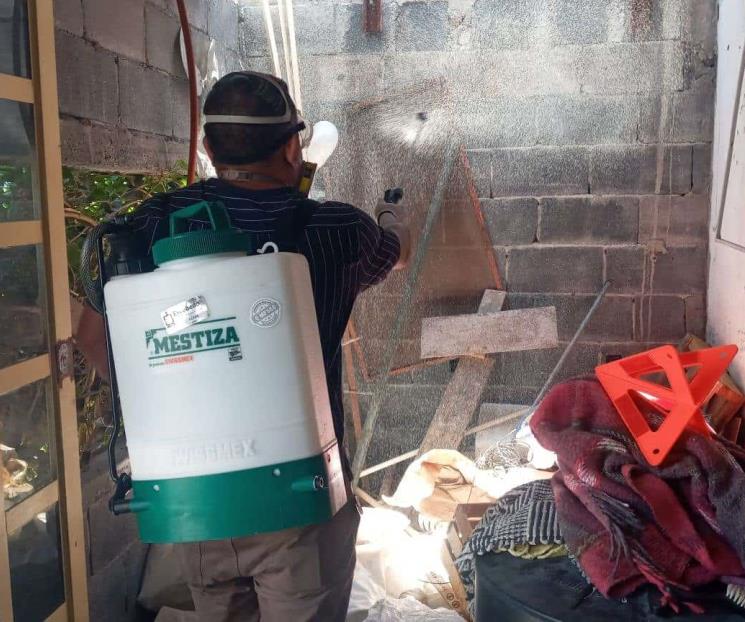 Refuerza Escobedo acciones para el combate a la rickettsia