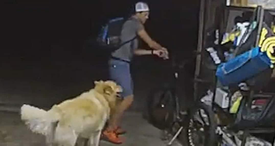 Ladrón roba bicicleta