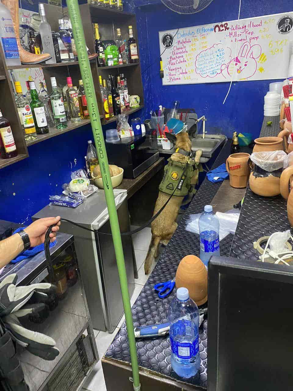 La Fiscalía General de Justicia cateó dos domicilios en el municipio de Juárez, donde además de asegurar droga se detuvo a una persona en una de las viviendas.