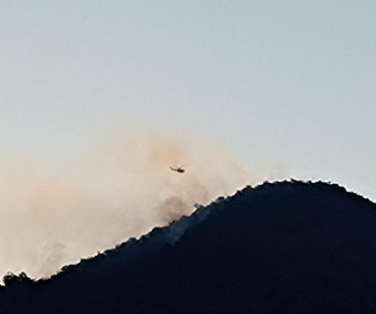 Controlan en un 70 por ciento incendio de Aramberri