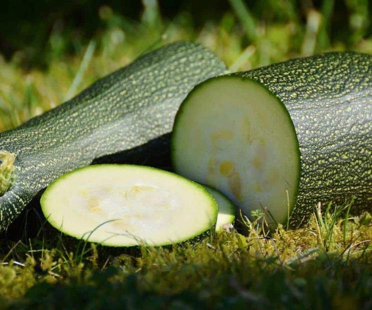 Estos son los beneficios de comer calabacitas