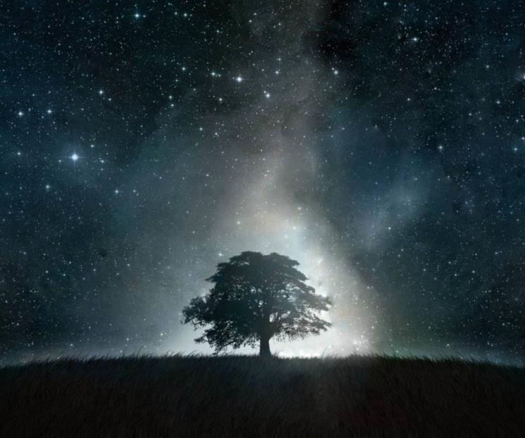 Aunque sea de noche, resplandece