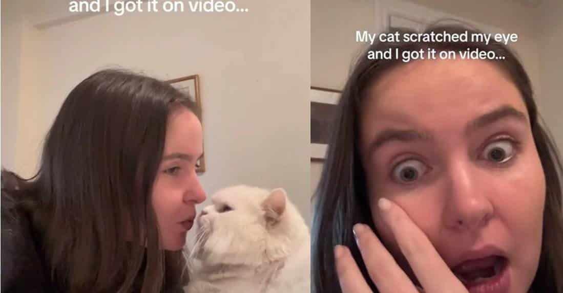Gato le araña el ojo y por poco la hace perder la vista