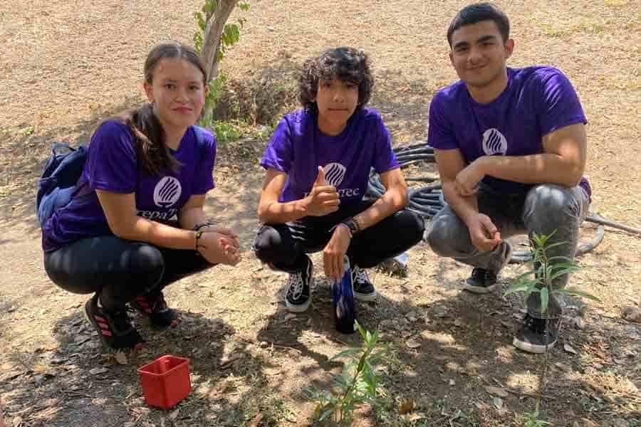 PrepaTec de Mty construye hogar a las mariposas monarcas