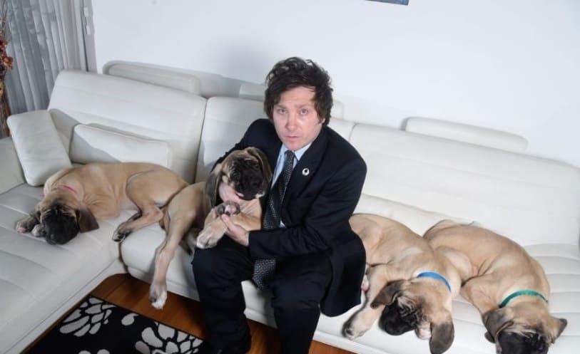 El precio que pagó Javier Milei para clonar a su perro Conan