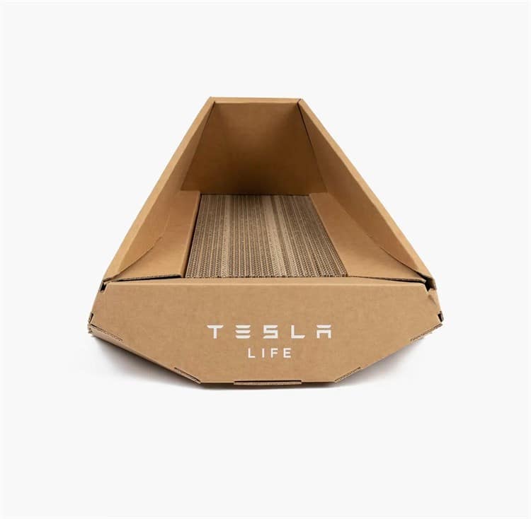 imagen-cuerpo imagen-cuerpo