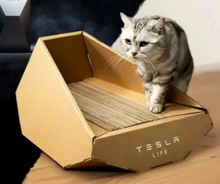 Lanza Tesla cama para gatos Lanza Tesla cama para gatos