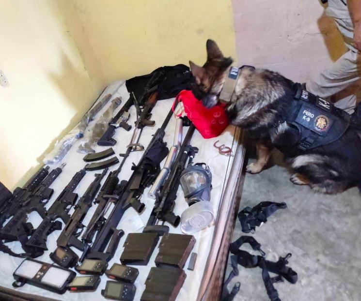 Decomisan armas, autos y droga tras cateos Decomisan armas, autos y droga tras cateos