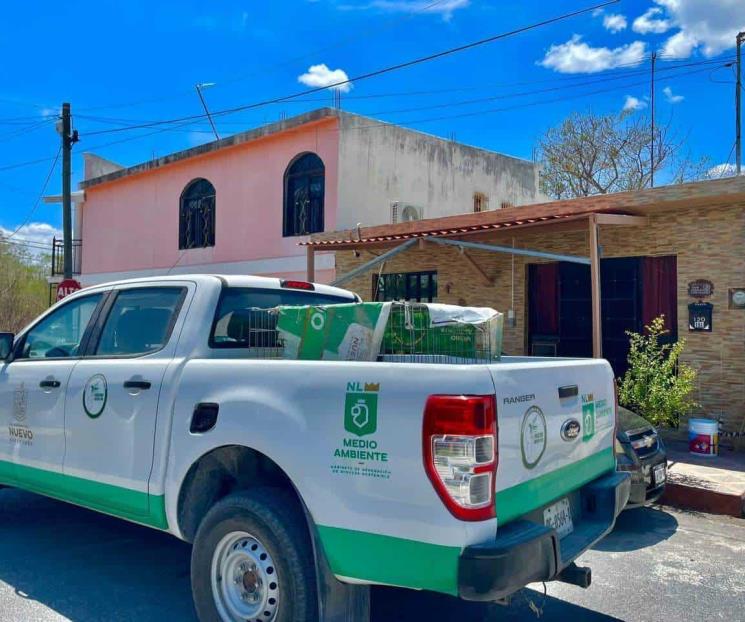 Investigan casos de maltrato animal en Linares