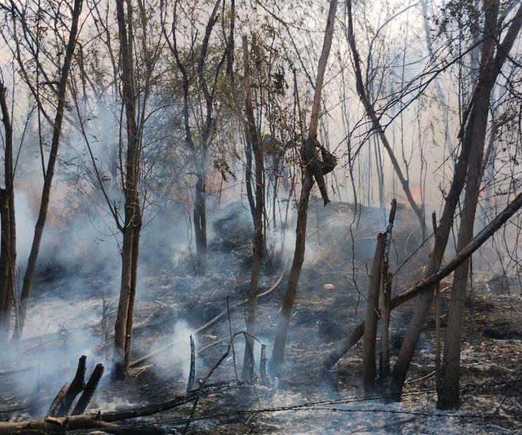 Se incendia lote baldío en Montemorelos Se incendia lote baldío en Montemorelos