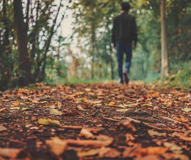 ¿Cuándo inicia el otoño en México?