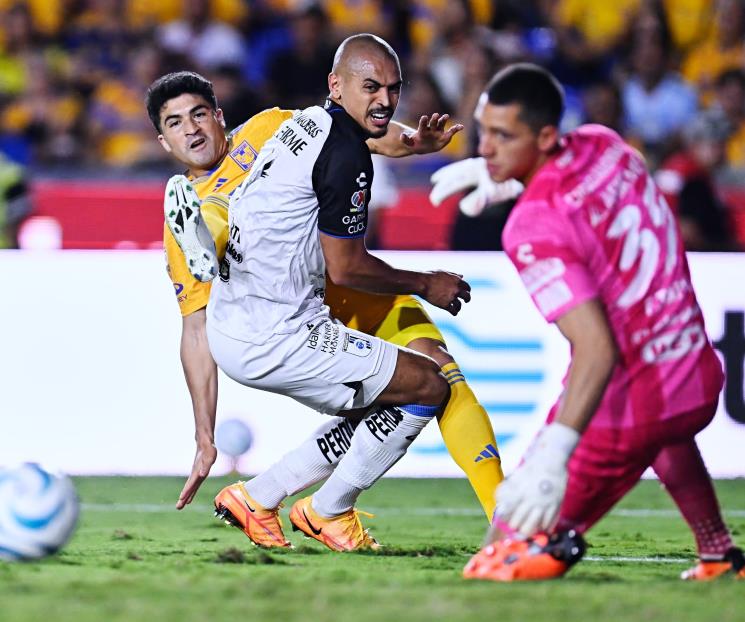 Destaca Gerk pegada felina