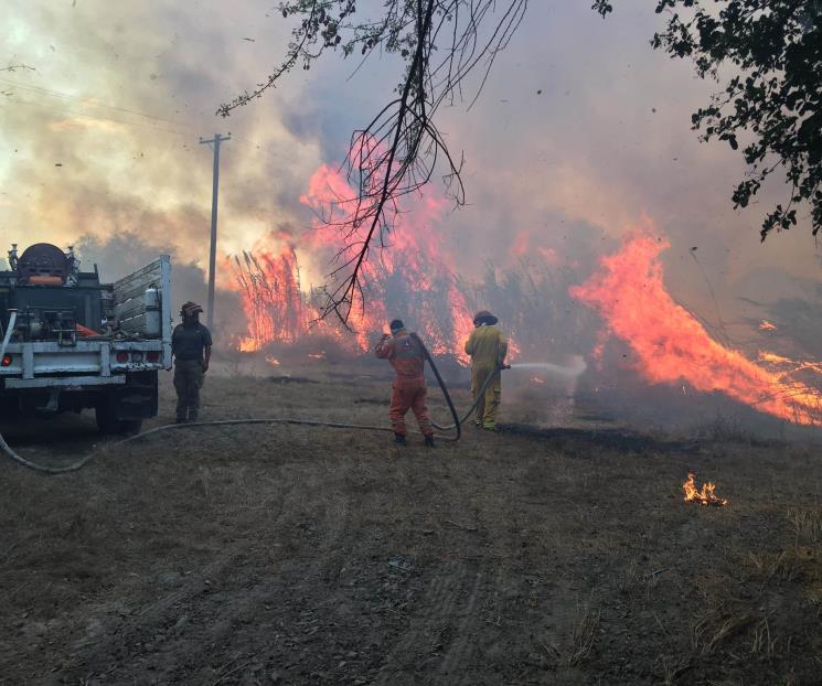 Alarma incendio de pastizal en General Terán