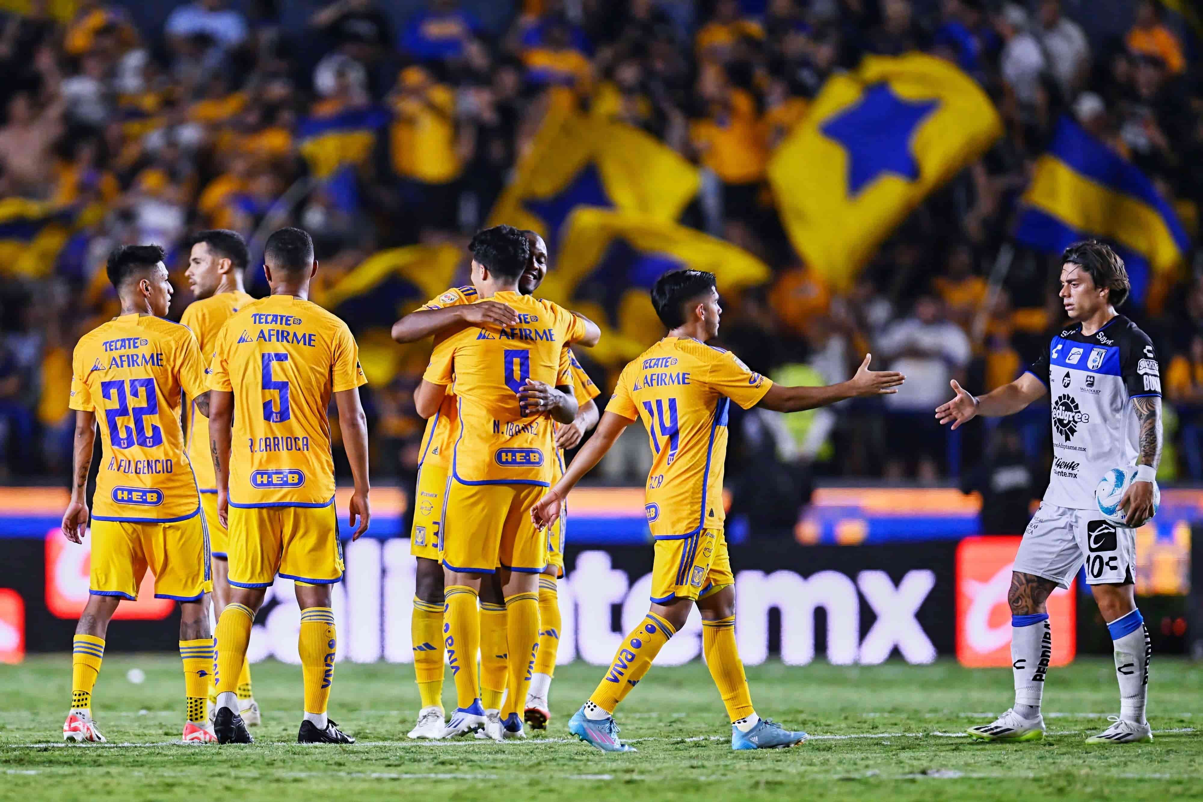 Felinos vuelven a ganar de local.