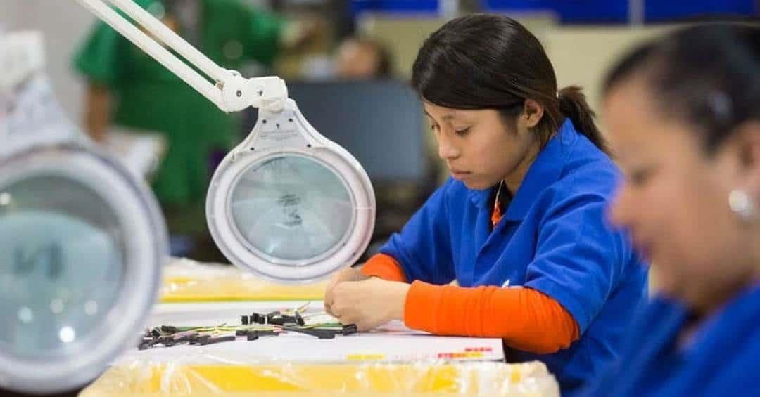 El 79% de jóvenes no es contratado por falta de experiencia