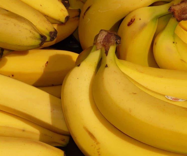 Conseguir colágeno de forma barata