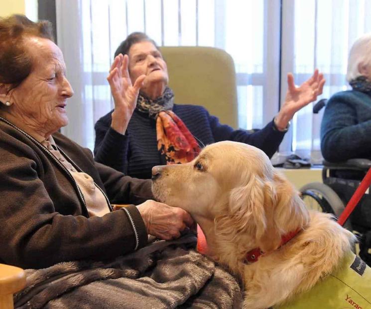 Invita UANL al taller “Alzheimer Experience”