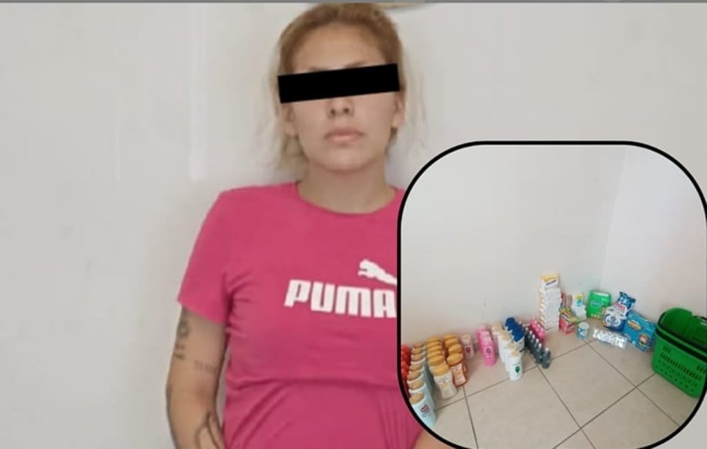 Elementos de la Secretaría de Seguridad y Vialidad de Salinas Victoria, detuvieron a una mujer por el delito de robo a un negocio en la colonia Los Pilares.