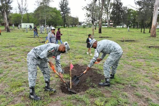 Plantará Séptima Zona Militar más de 10 mil árboles